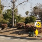 Median at Norton and 6th Street - funds raised will go towards re-landscaping