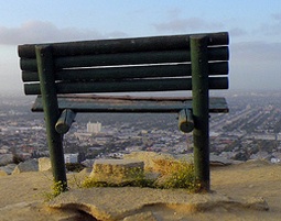 bench