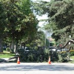 South Lorraine Blocked in Windsor Square South Lorraine Blocked in Windsor Square