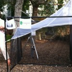 Local BioSCAN Traps Find New Species: the Scuttle Fly Local BioSCAN Traps Find New Species: the Scuttle Fly