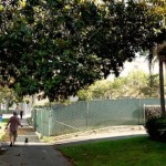 Developer Plans Small Lot Subdivision for 421 N Van Ness Ave Developer Plans Small Lot Subdivision for 421 N Van Ness Ave