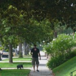 The Power of Walkability : Greater Wilshire The Power of Walkability : Greater Wilshire