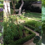 Edible Gardens LA Photo Edible Gardens LA Photo